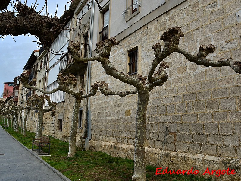 Imagen de Muralla urbana de Salvatierra