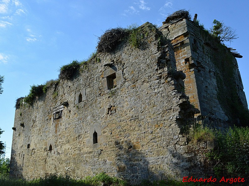Imagen de Torre de Larrintzar