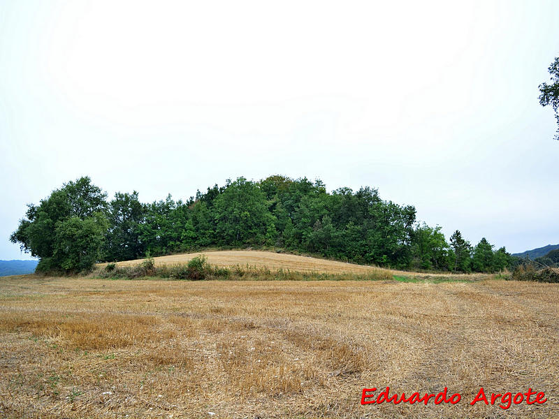 Imagen de Castillo de Mendilucia
