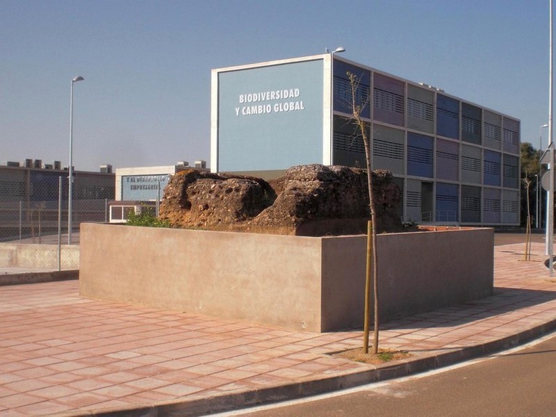 Imagen de Atalaya del Camino de Yelves