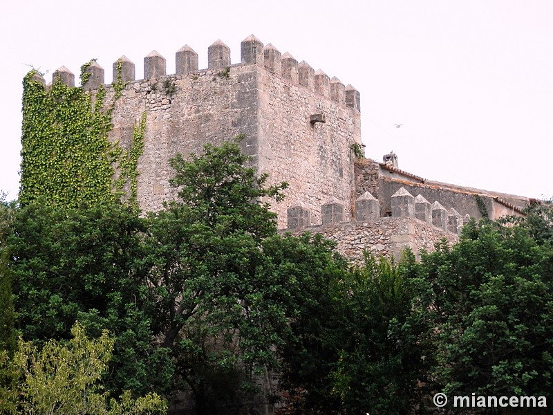 Imagen de Torre de Son Berga