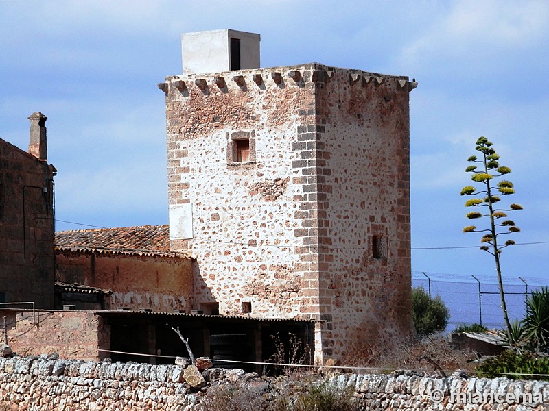 Imagen de Torre de Son Oms