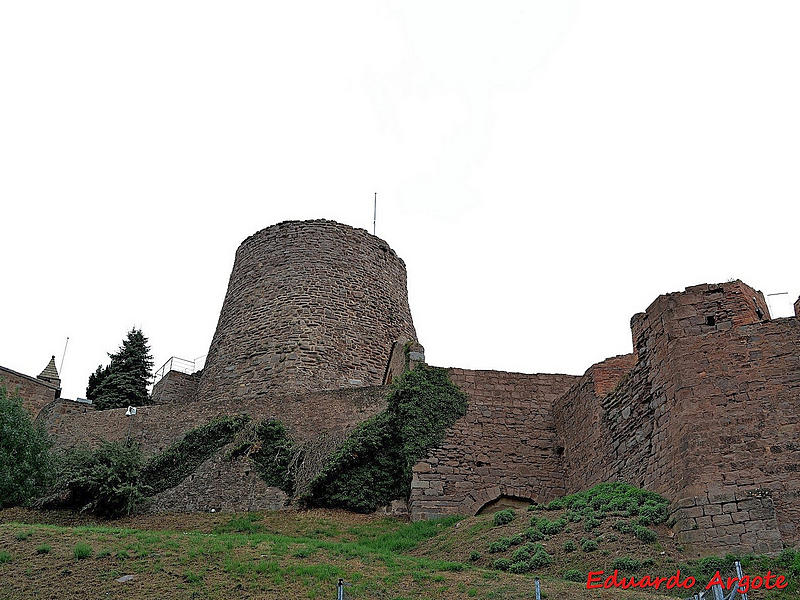 Imagen de Torre Minyona
