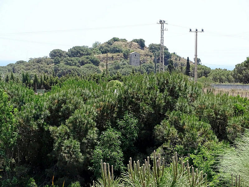 Imagen de Castillo de Mataró
