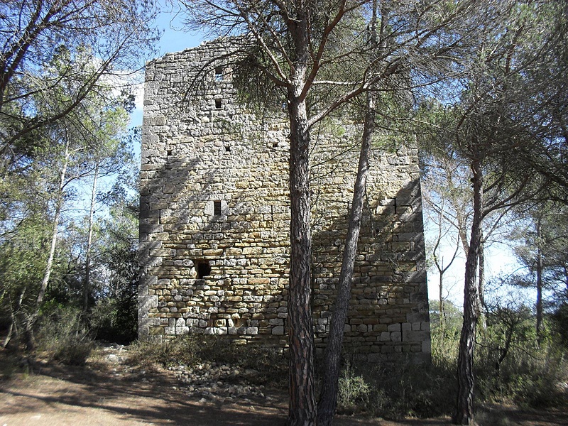 Imagen de Torre de Cal Rei