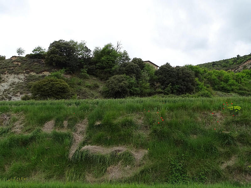 Imagen de Castillo de Güells