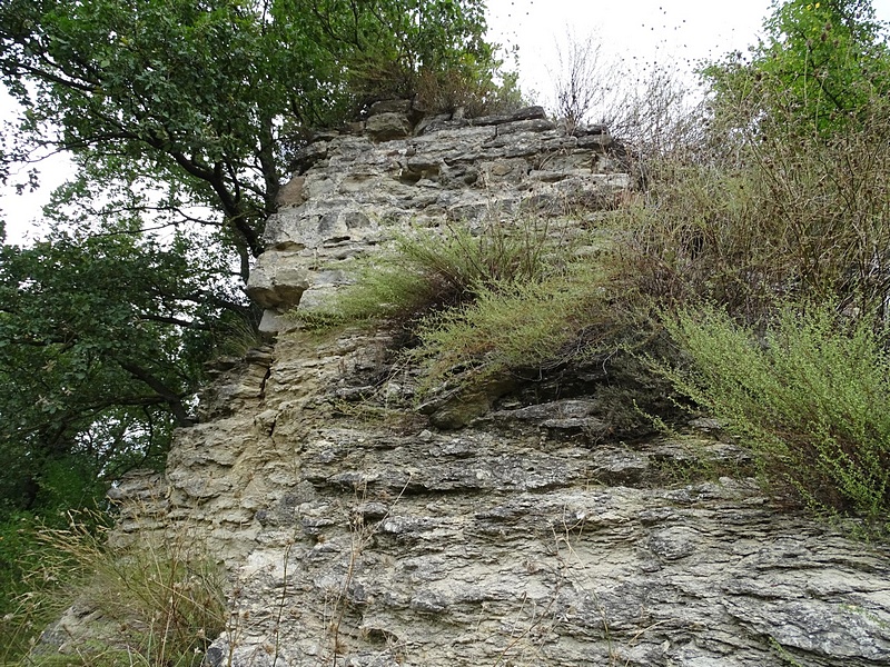 Imagen de Castillo de Sentfores