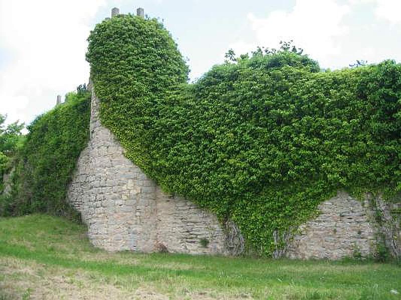 Imagen de Castillo de Villalba de Losa