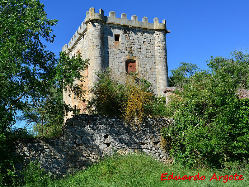 Imagen de Torre de Olmosalbos