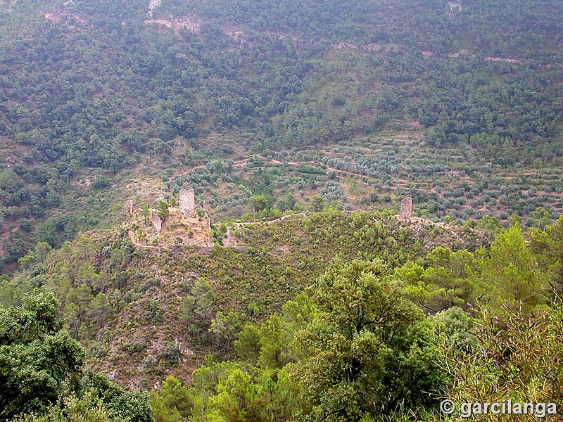 Imagen de Castillo de Benalí