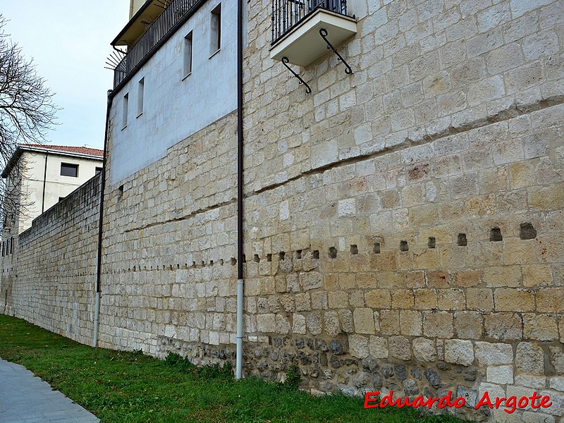 Muralla urbana de Salvatierra