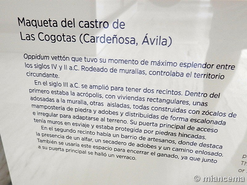 Castro Las Cogotas