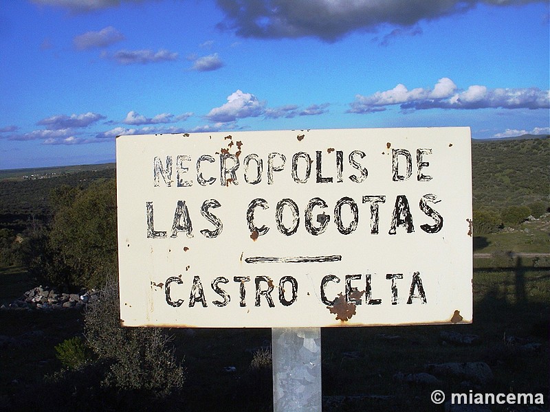 Castro Las Cogotas