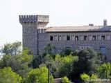Castillo palacio de Son Ros