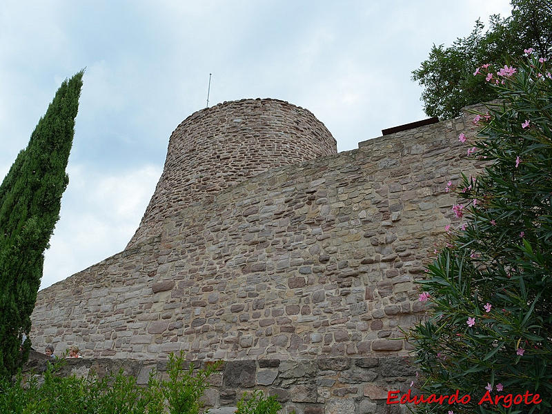 Torre Minyona