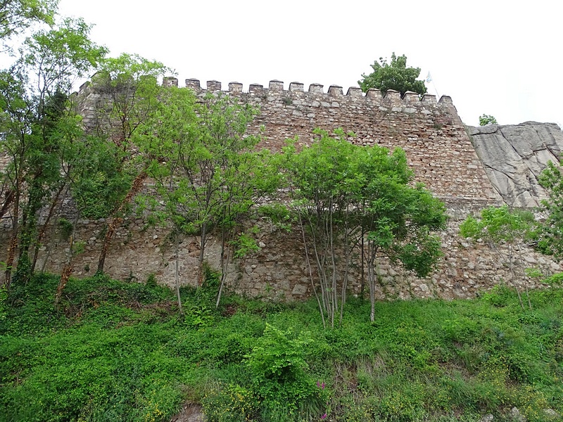 Castillo de Berga