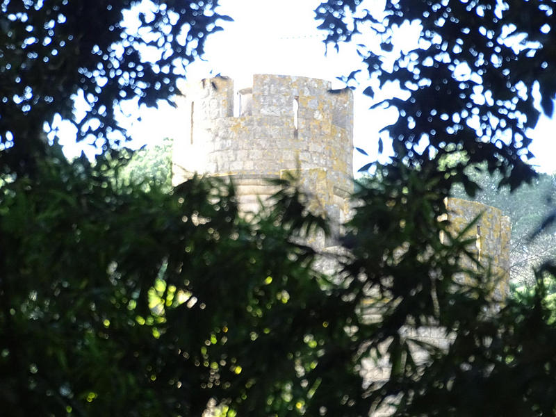 Castillo de Santa Florentina