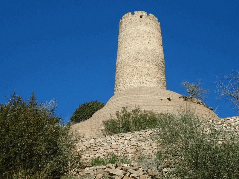 Castillo de Coaner