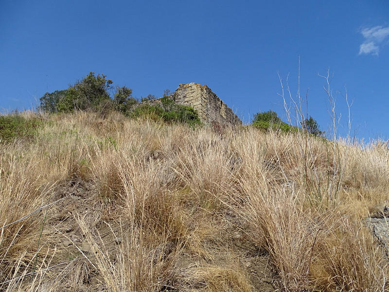 Castillo de Montpalau