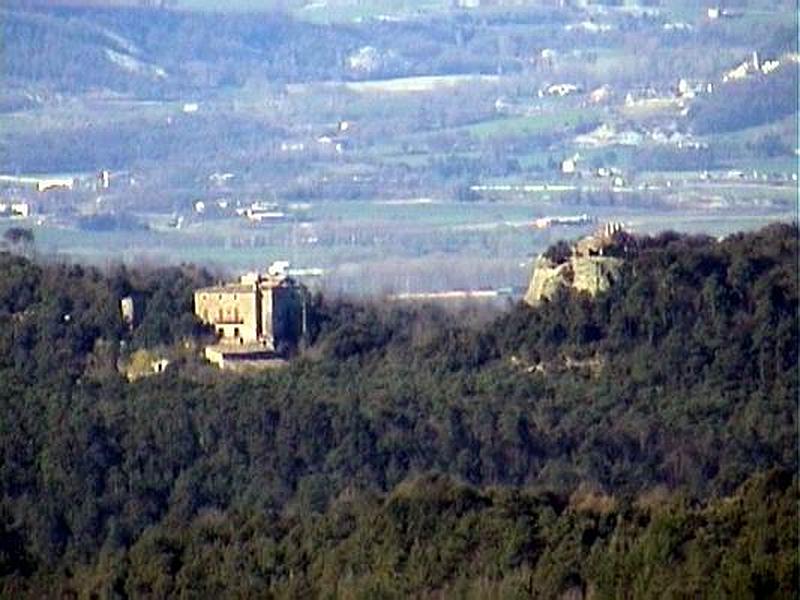 Castillo de Savassona