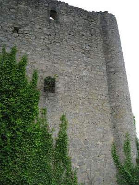 Torre de los Bonifaz