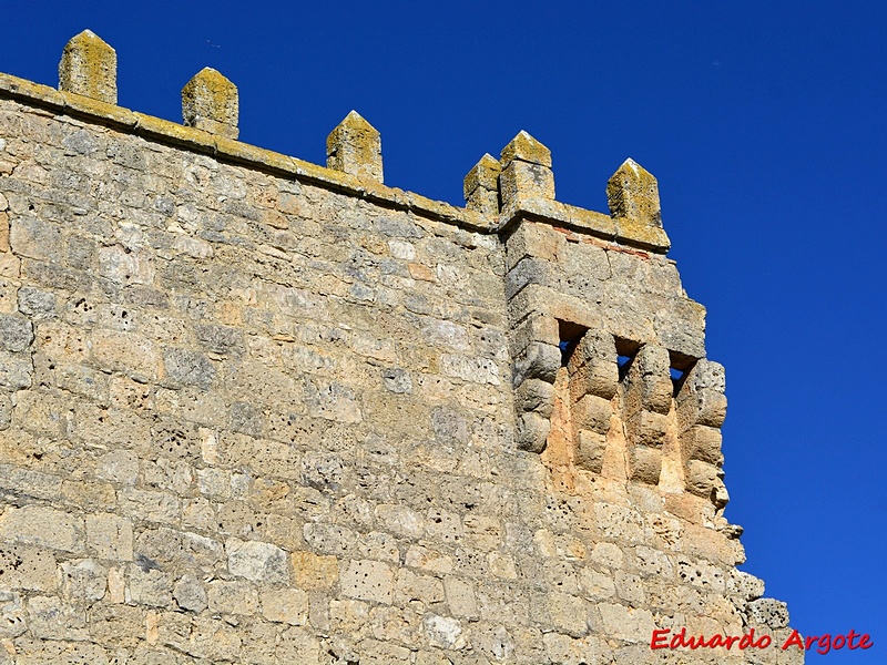 Castillo palacio de Hormaza