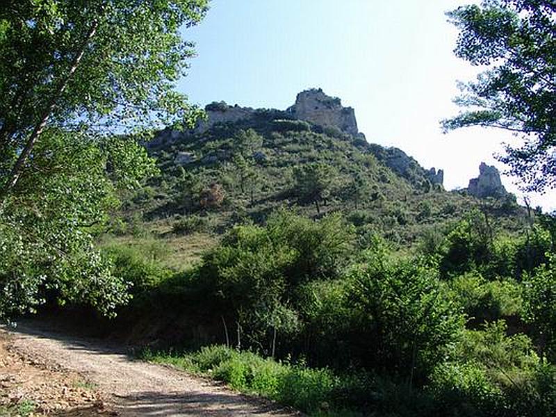 Castillo de Peña Castilviejo