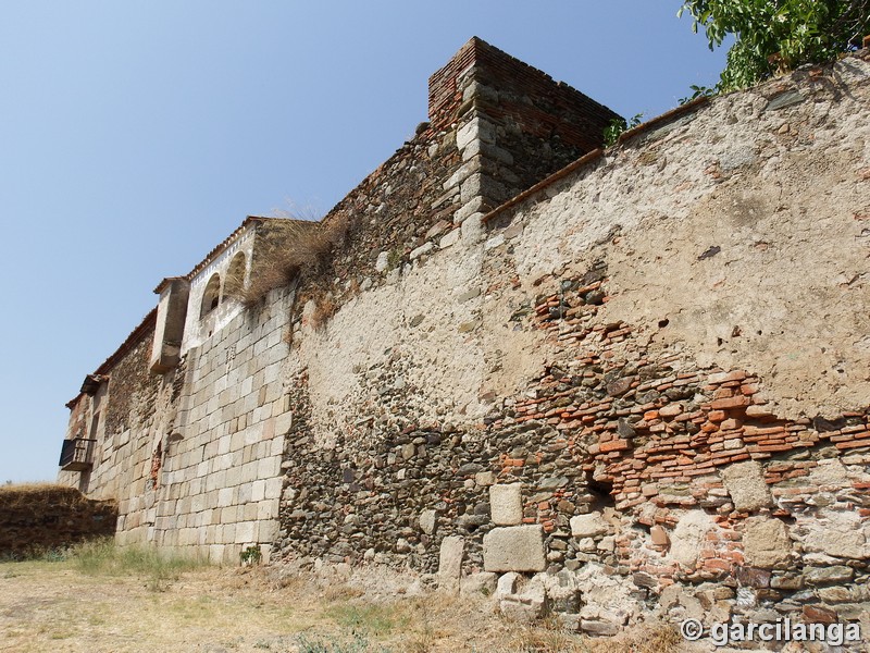 Palacio fortificado de los Duques de Alba