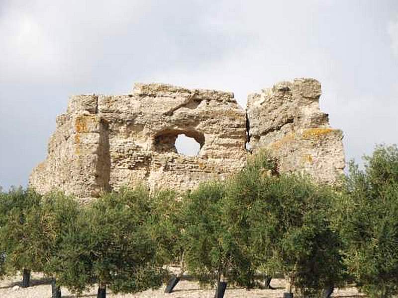 Castillo de Torrecera