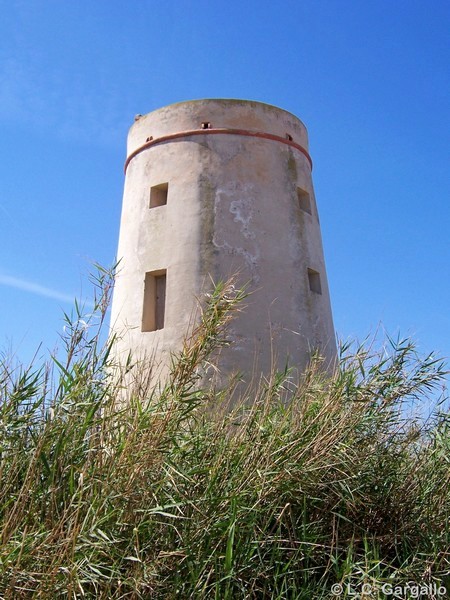 Torre del Palmar
