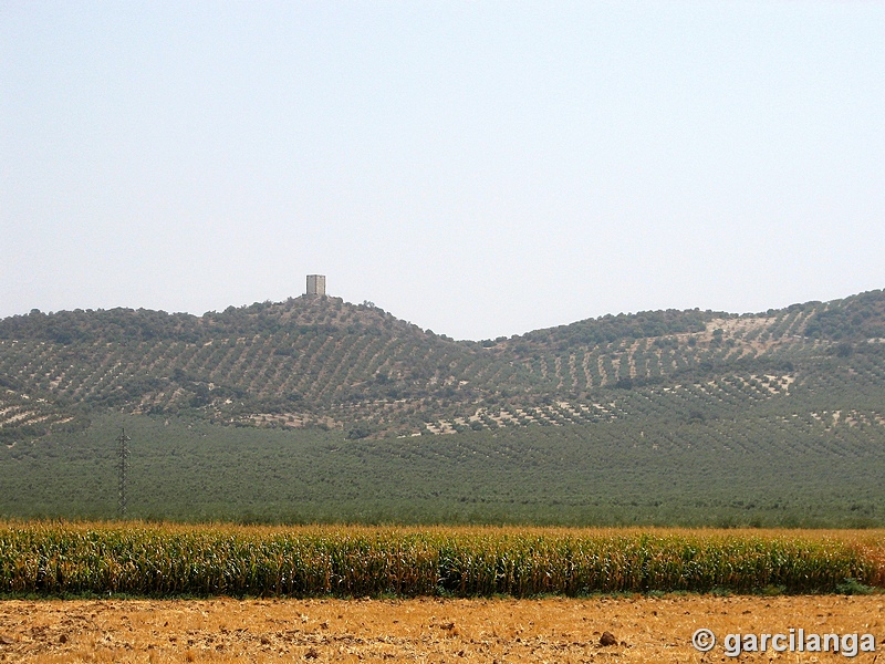 Castillo de Anzur