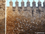 Muralla lienzo suroeste de la Medina