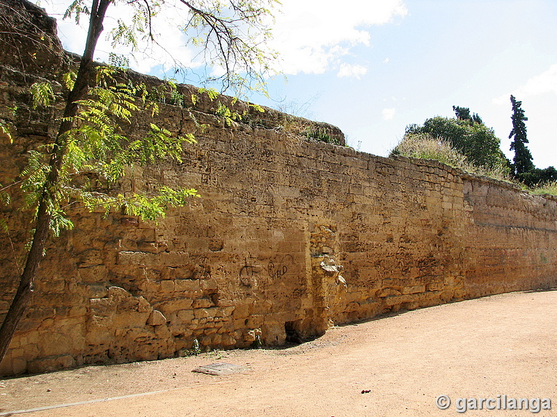 Muralla del Marrubial