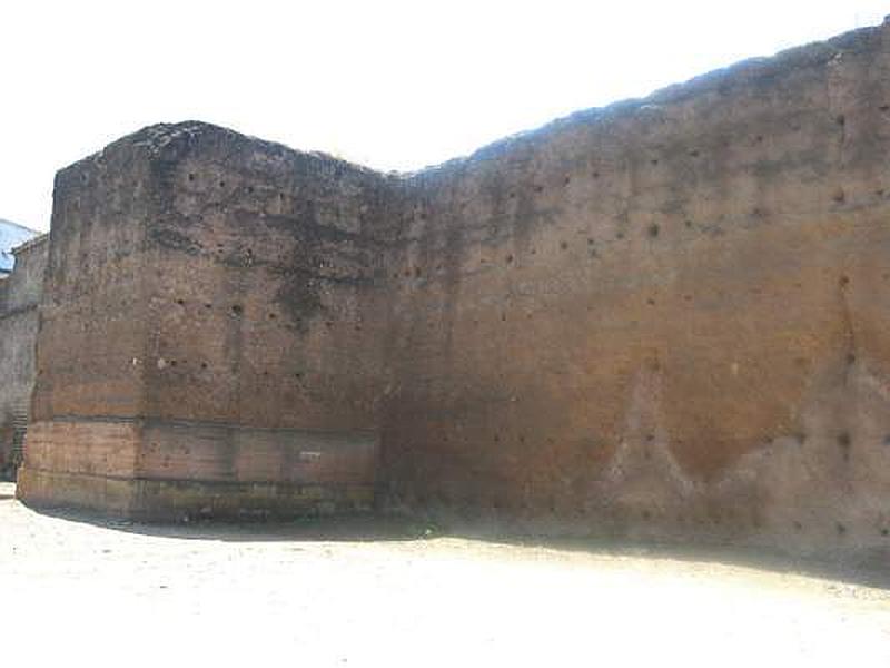 Muralla del Marrubial