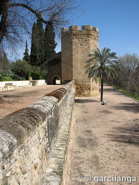 Torre de Guadalcabrillas