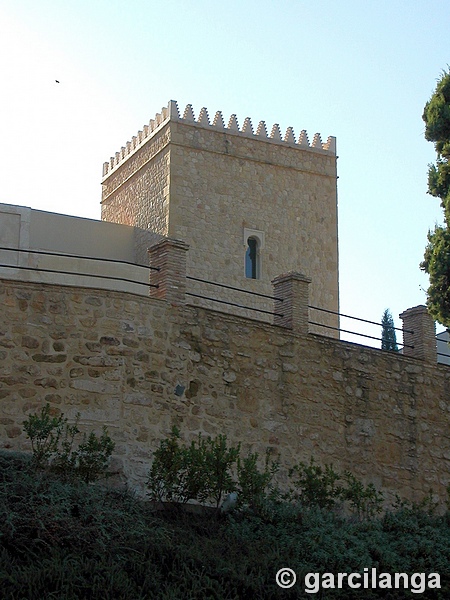 Castillo de La Albaida