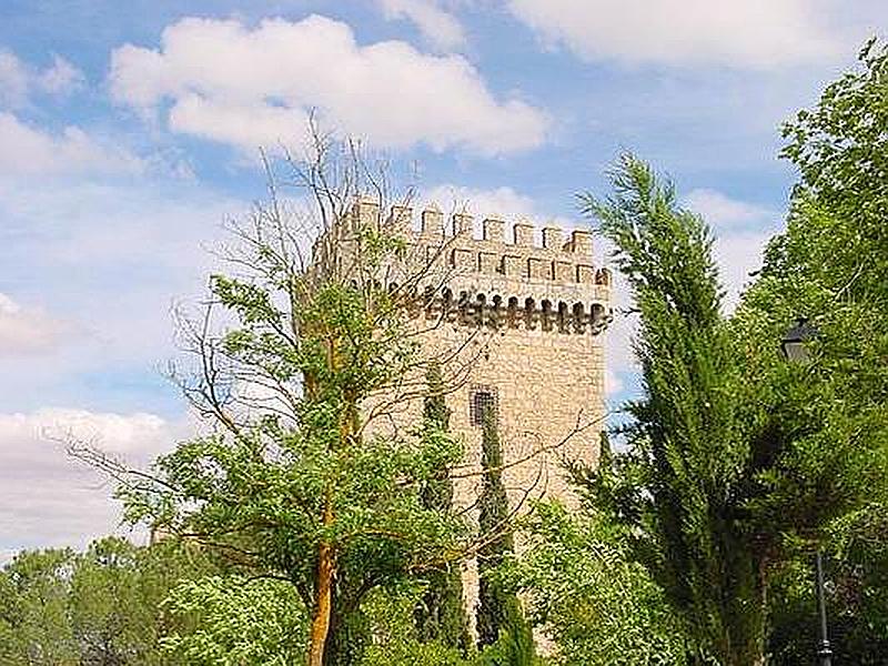 Castillo de las Altas Torres