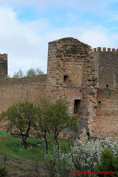 Castillo de Santiuste