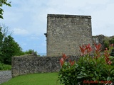 Castillo de San Telmo