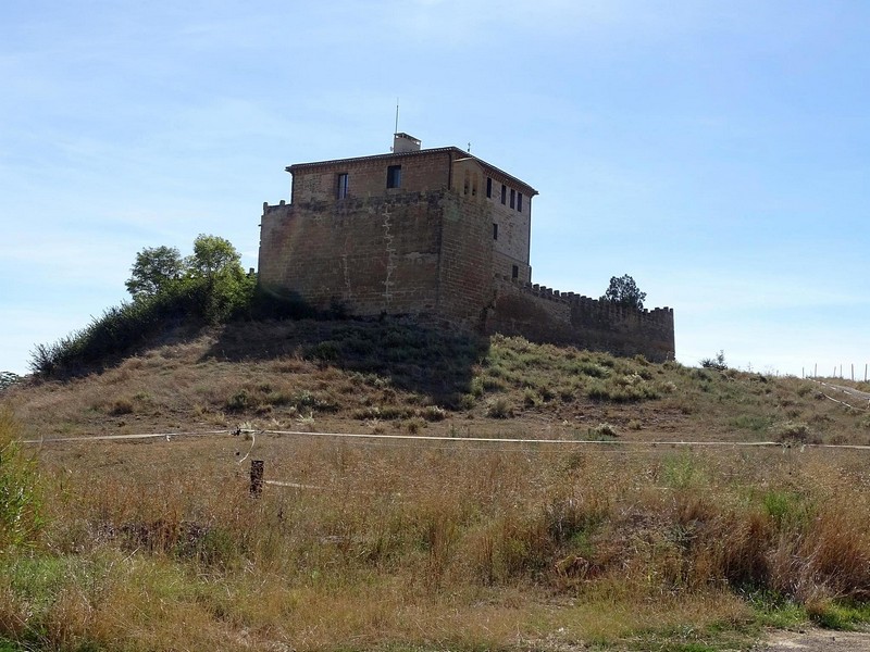 Castillo palacio de Torres Secas