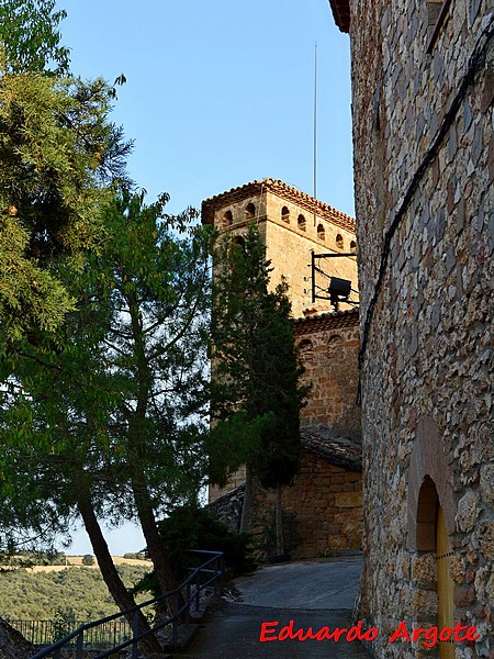 Castillo Palacio de Aler