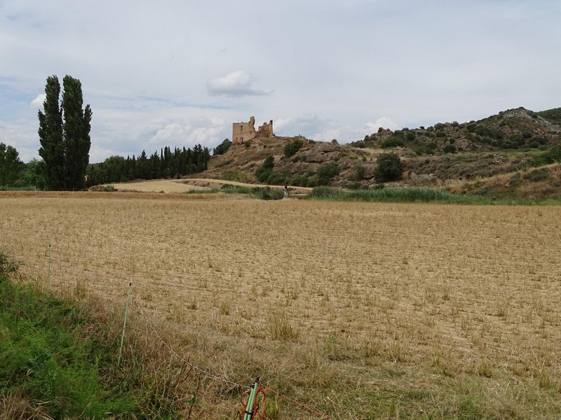 Castillo palacio de Ador