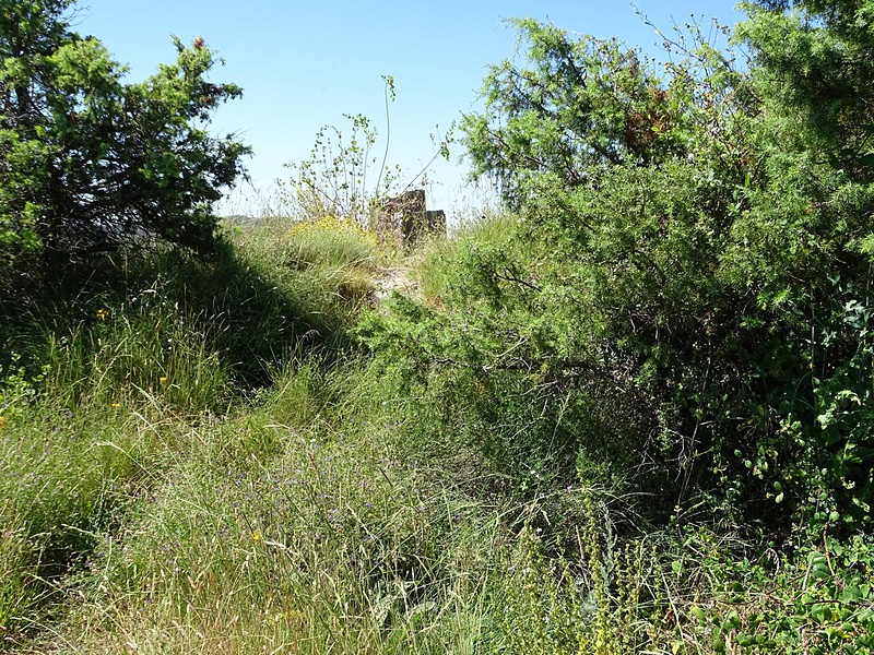 Castillo de Buil