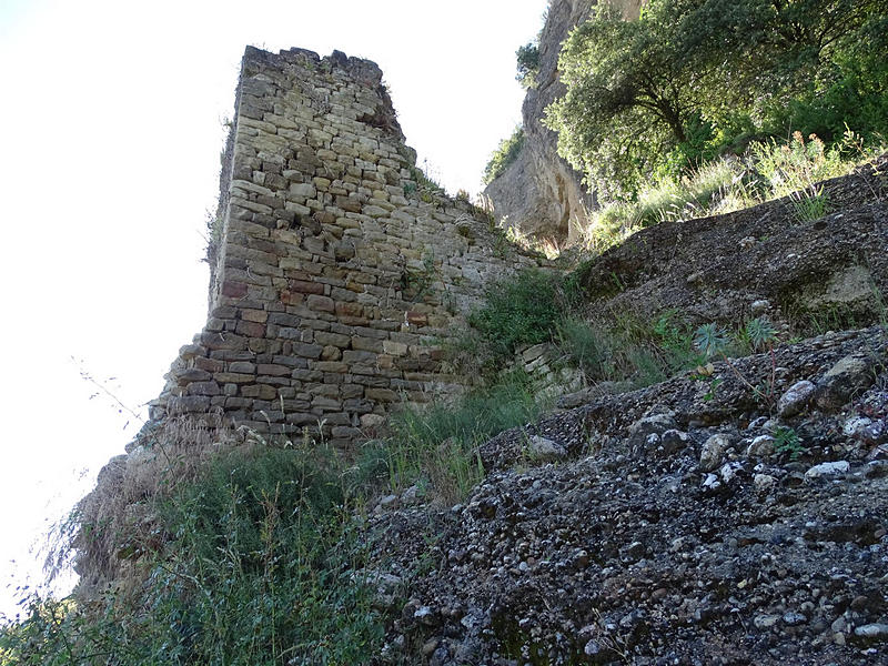 Castillo de San Martín de Capella