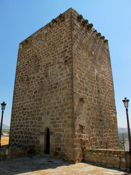 Torre Mocha