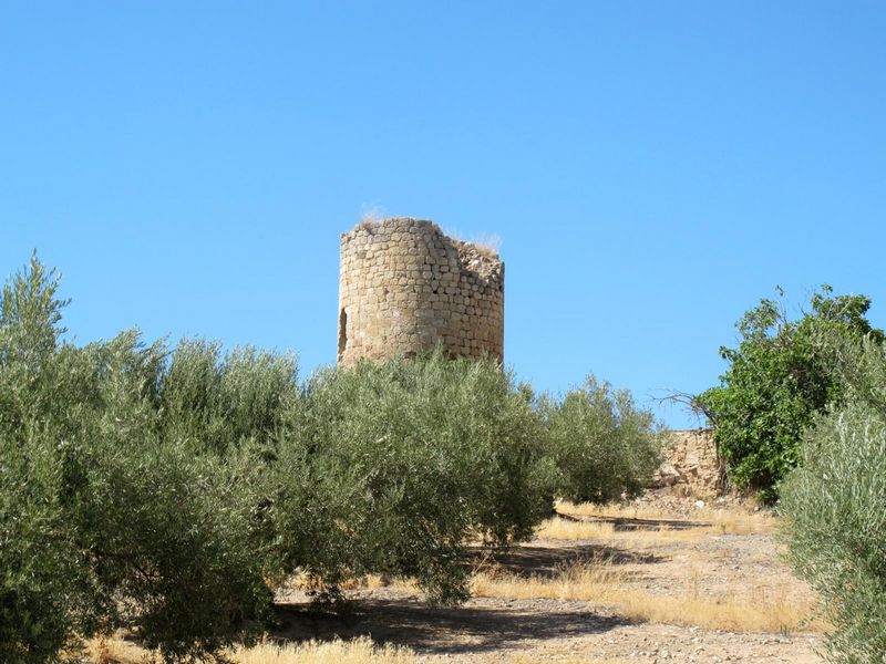 Torre de Fuente Álamo