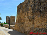 Muralla urbana de Mansilla de las Mulas