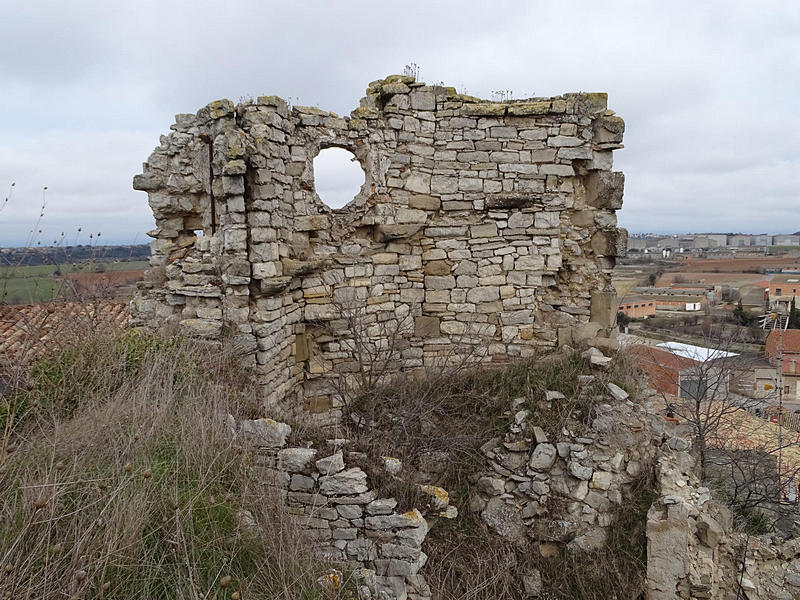 Castillo de la Manresana