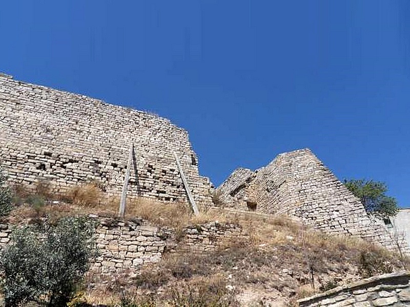 Castillo de Montoliu de Segarra