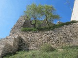 Castillo de Montoliu de Segarra